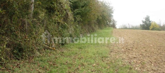 Casa T5 em Camagna Monferrato, Italy N.º 220262 8