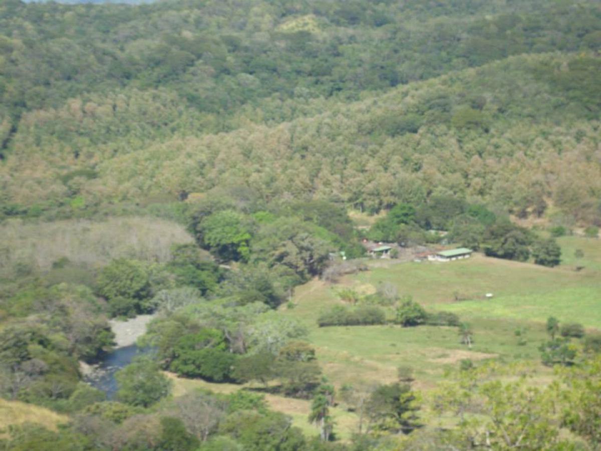  Farm in Nicoya, Costa Rica No. 1364