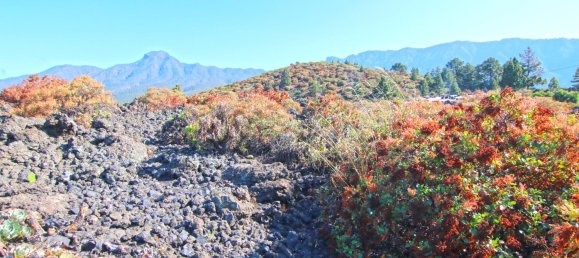 Земельный участок в Ла Пальма, Испания № 162714 16