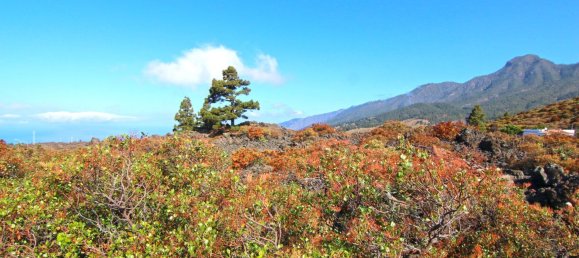 Земельный участок в Ла Пальма, Испания № 162714 34