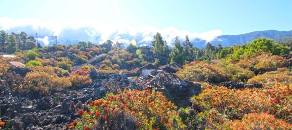 Земельный участок в Ла Пальма, Испания № 162714 20