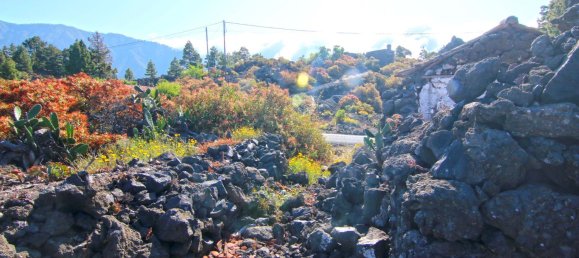 Земельный участок в Ла Пальма, Испания № 162714 30