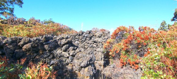 Земельный участок в Ла Пальма, Испания № 162714 11