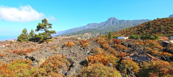 Земельный участок в Ла Пальма, Испания № 162714 36