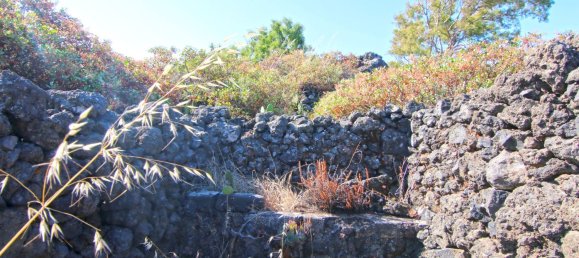 Земельный участок в Ла Пальма, Испания № 162714 12