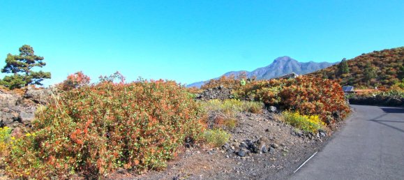 Земельный участок в Ла Пальма, Испания № 162714 3