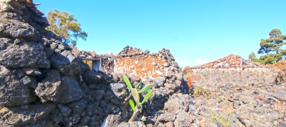 Земельный участок в Ла Пальма, Испания № 162714 4