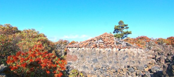 Земельный участок в Ла Пальма, Испания № 162714 8