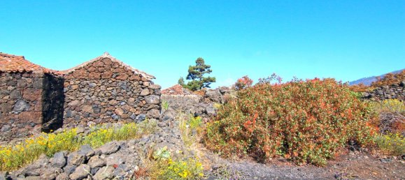 Земельный участок в Ла Пальма, Испания № 162714 2