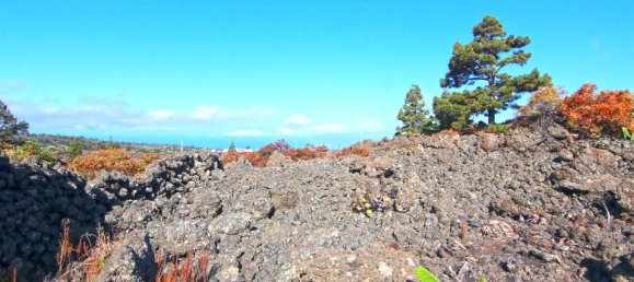 Земельный участок в Ла Пальма, Испания № 162714 17