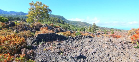 Земельный участок в Ла Пальма, Испания № 162714 22