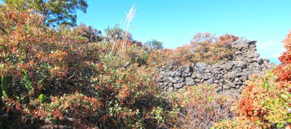 Земельный участок в Ла Пальма, Испания № 162714 13