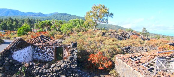 Земельный участок в Ла Пальма, Испания № 162714 27