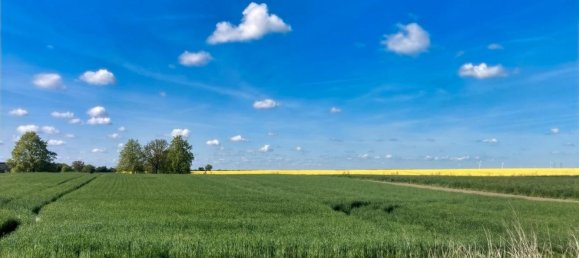 Terreno em Uckermark, Germany 13148 m² N.º 245175 6