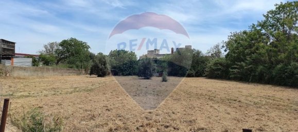 Casa T1 em Abrantes, Portugal N.º 15962 2