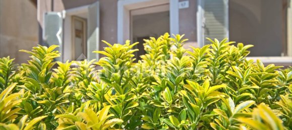 2 bedrooms House in Valle San Nicolao, Italy No. 134451 3