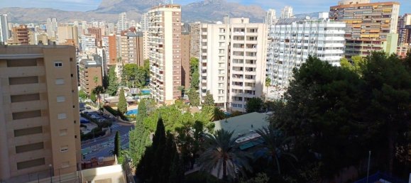 1 chambre Appartement à Benidorm, Spain No. 180564 23