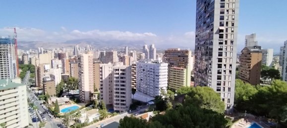 1 chambre Appartement à Benidorm, Spain No. 180564 4