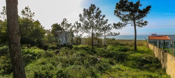 قطعة أرض في Sintra, Portugal 12800متر مربع رقم 90789 3