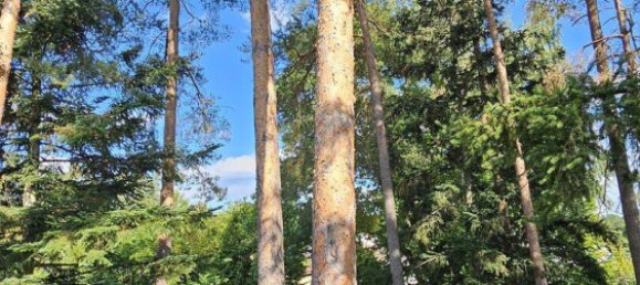 5-Zimmer Haus in Roth, Germany, Nr. 340298 8