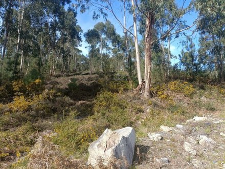 Terreno en Penafiel, Portugal 12500 m² No. 63937