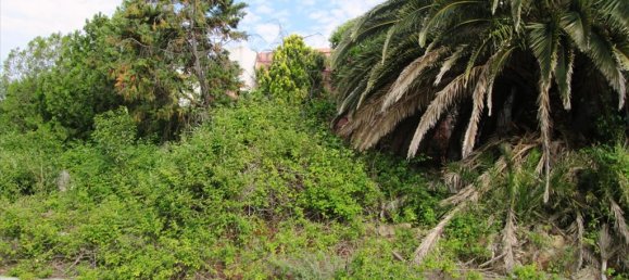 Hotel em Chalkidiki, Greece 10000 m² N.º 7838 5