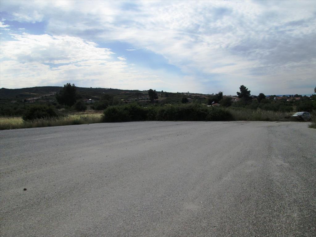 Hotel in Chalkidiki, Greece 10000m², Nr. 7838