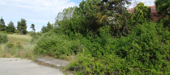 Hotel in Chalkidiki, Greece 10000m², Nr. 7838 6
