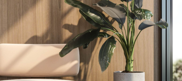 Studio in Alanya, Turkey No. 27104 5