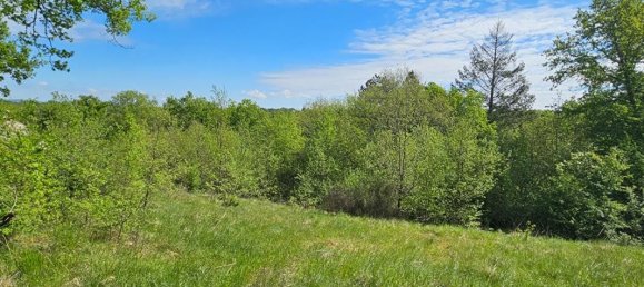 Terreno em Noailles, France 3145 m² N.º 97243 6