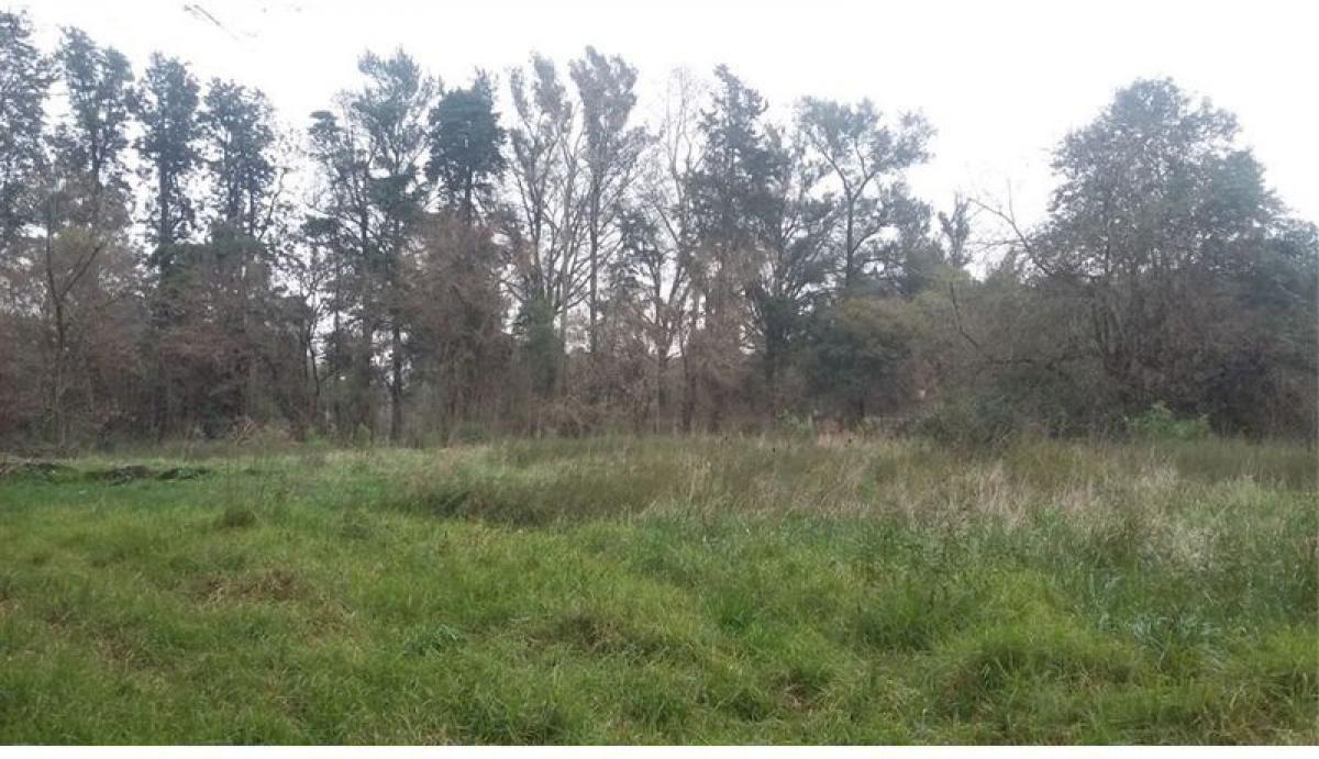  قطعة أرض في Pilar, Argentina رقم 37300