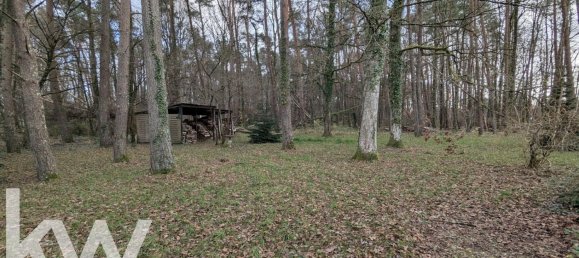 4 bedrooms House in Nesploy, France No. 40367 11