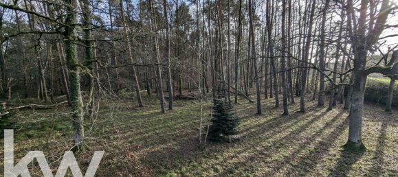 4 bedrooms House in Nesploy, France No. 40367 2