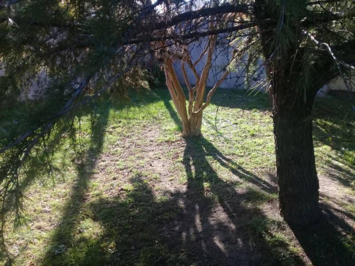 Terrain à Campo Creado, Argentina No. 41044