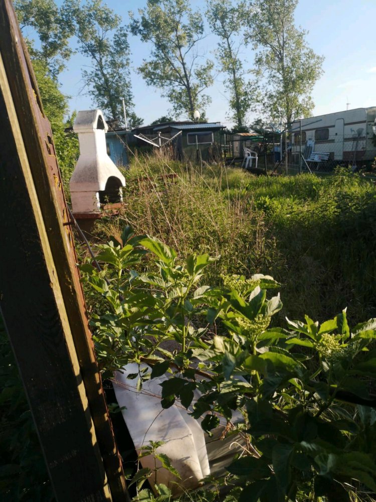 1 chambre Maison de ville à Warendorf, Germany No. 289638