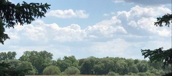 5 bedrooms House in Potsdam-Mittelmark, Germany No. 44562 14