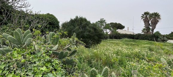 Grundstück in Faro, Portugal 10440m², Nr. 63819 24