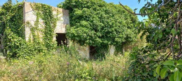 Grundstück in Faro, Portugal 10440m², Nr. 63819 13