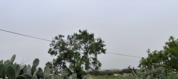 Grundstück in Faro, Portugal 10440m², Nr. 63819 9