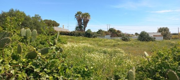 Grundstück in Faro, Portugal 10440m², Nr. 63819 17