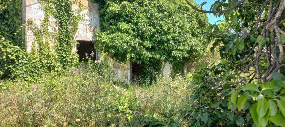 Grundstück in Faro, Portugal 10440m², Nr. 63819 20