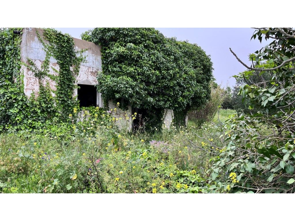 Grundstück in Faro, Portugal 10440m², Nr. 63819