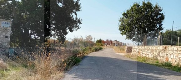 1 room Land in San Giovanni Rotondo, Italy No. 24155 3