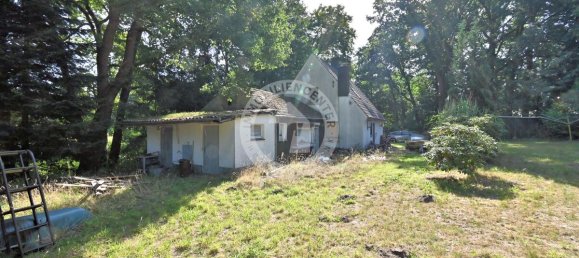 3-Zimmer Grundstück in Recklinghausen, Germany, Nr. 359918 5