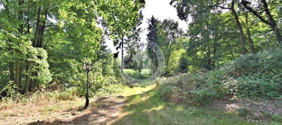 3-Zimmer Grundstück in Recklinghausen, Germany, Nr. 359918 6