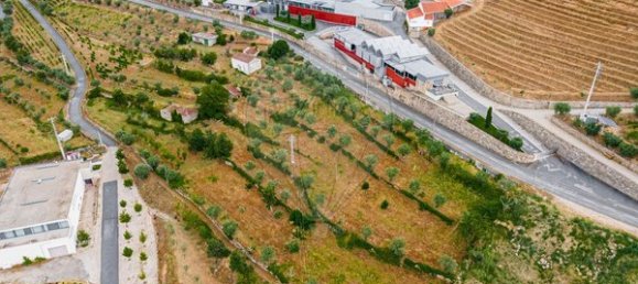 3 chambres Maison à Tarouca, Portugal No. 91098 7