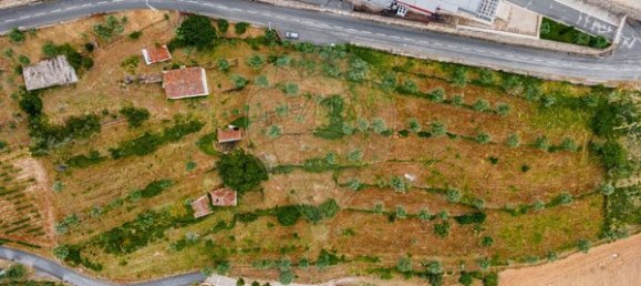 3 chambres Maison à Tarouca, Portugal No. 91098 29