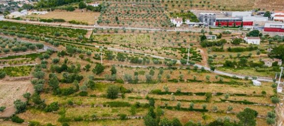 3 chambres Maison à Tarouca, Portugal No. 91098 26
