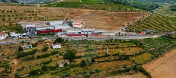 3 chambres Maison à Tarouca, Portugal No. 91098 22