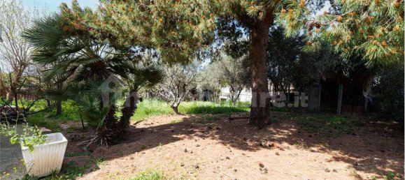 Дом с 3 спальнями в Куарту Сант'Элена, Италия № 346602 14